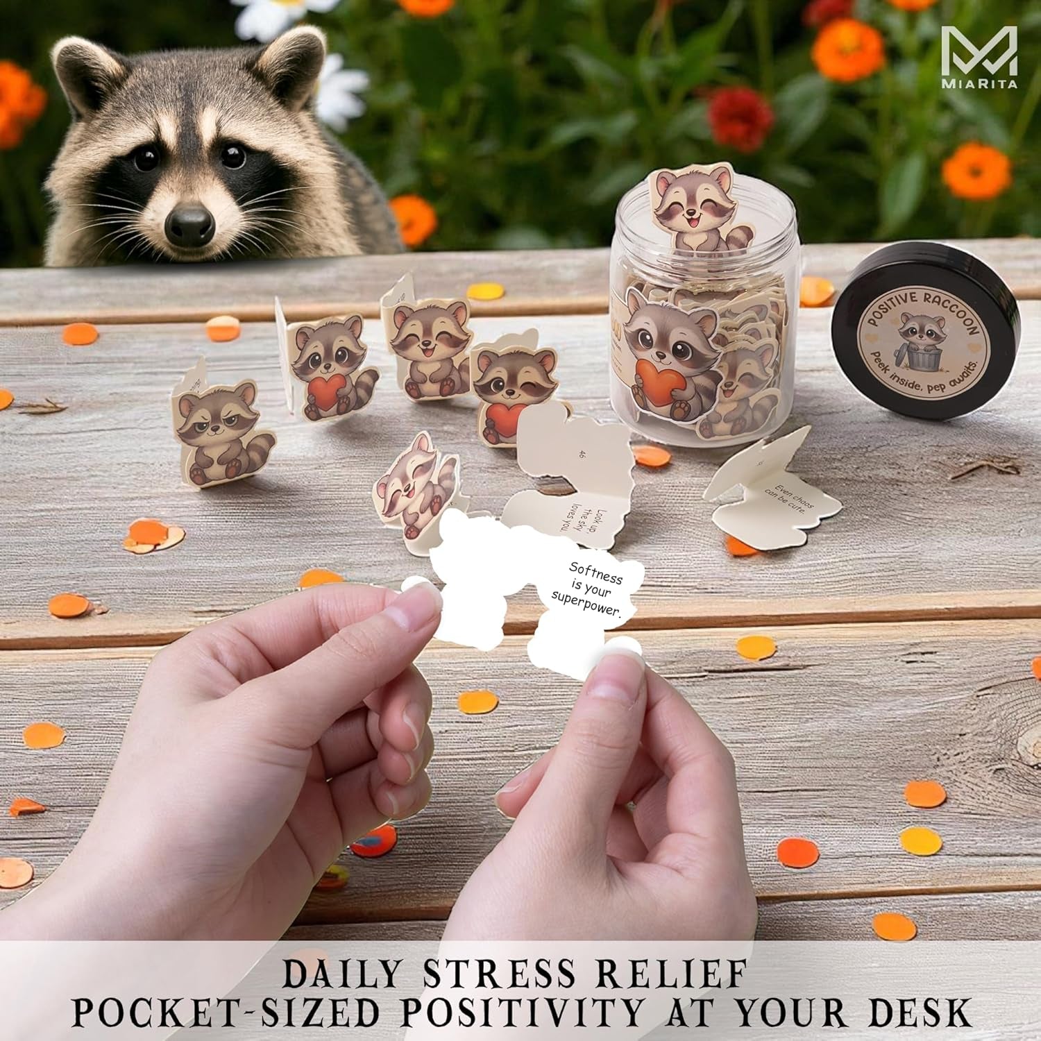 Positive Raccoon Jar – 60 Positive Affirmation Cards for Women, Mindfulness Cards, Stress Relief & Self Care Gifts for Women, Teen Girl, Birthday Gift for Her, Friendship Gift, Raccoon Gifts