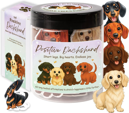 Positive Dachshund Jar – 60 Positive Affirmation Cards for Women, Mindfulness Cards, Stress Relief & Self Care Gifts for Women, Teen Girl, Birthday Gift for Her, Friendship Gift, Dachshund Gifts